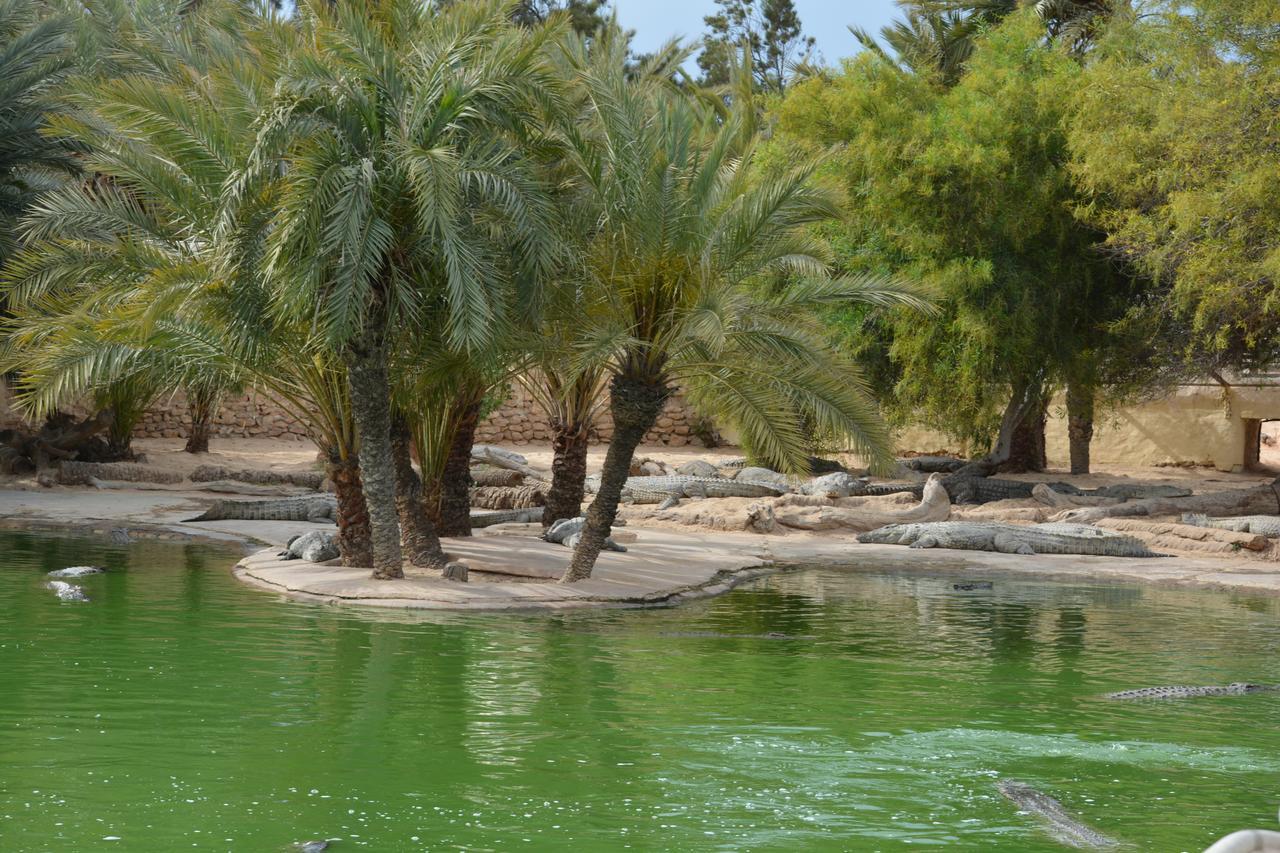 Menzel Churasco Djerba Aghir Extérieur photo